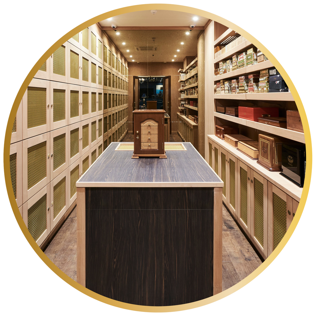 Cigar Humidors