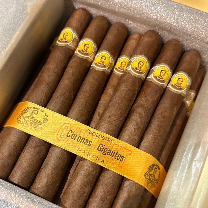 Bolivar Corona Gigantes 2006 - Singles