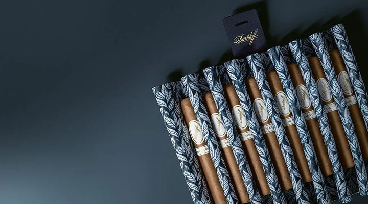 Davidoff TRAVEL HUMIDOR BUSINESS Open