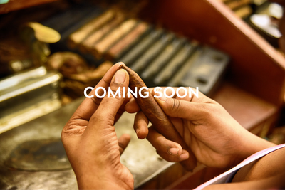 CIGARS THAT ARE COMING SOON AT NO.6 CAVENDISH LONDON