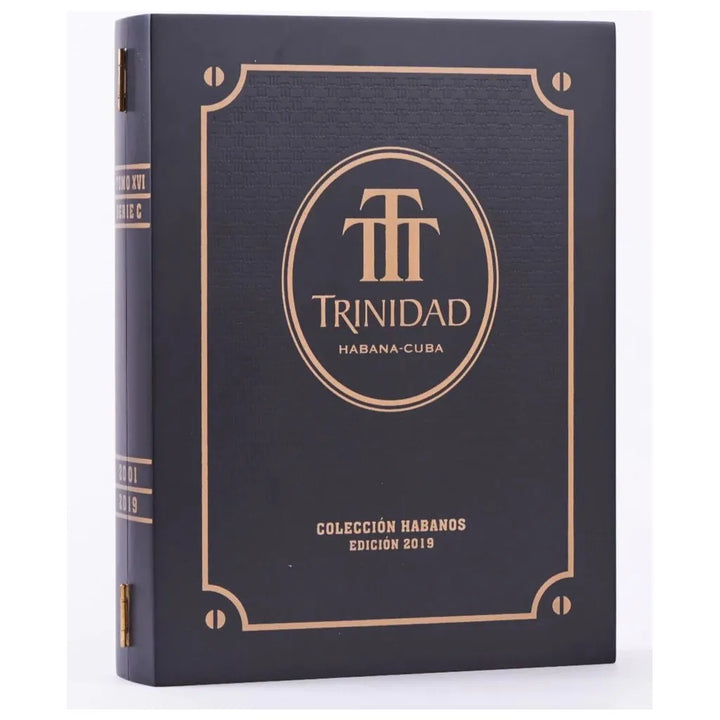 Trinidad Casilda Coleccion Book 2019