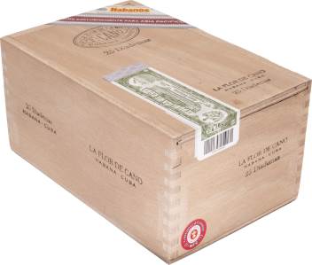 La Flor de Cano Diademas Regional Edition Asia Pacifico 2023