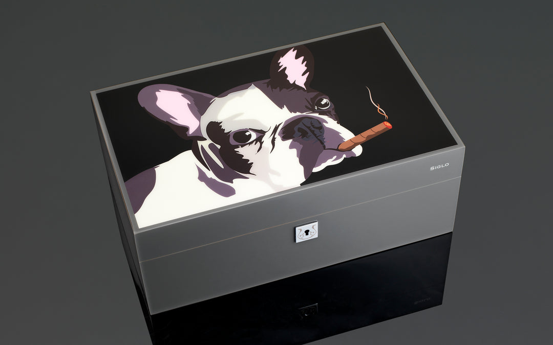 PCC Siglo Dog In Black Cigar Humidor 75 cigars