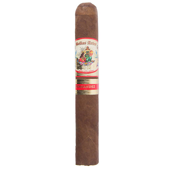AJ Fernandez Bellas Artes Robusto Extra