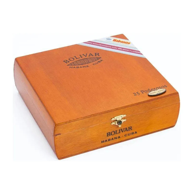 Bolivar Poderosos Regional Luxemurgo 2013