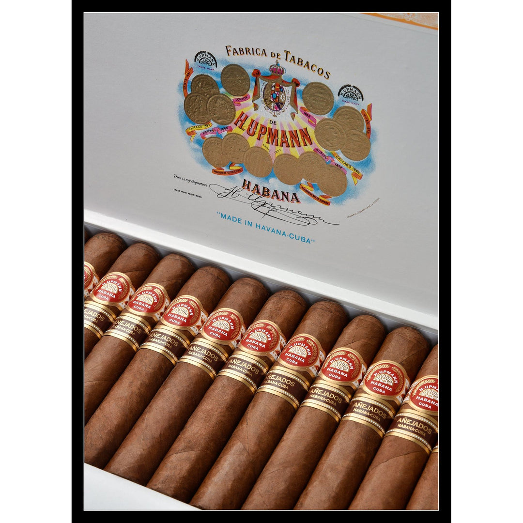 H.Upmann Robusto Anejados 2011