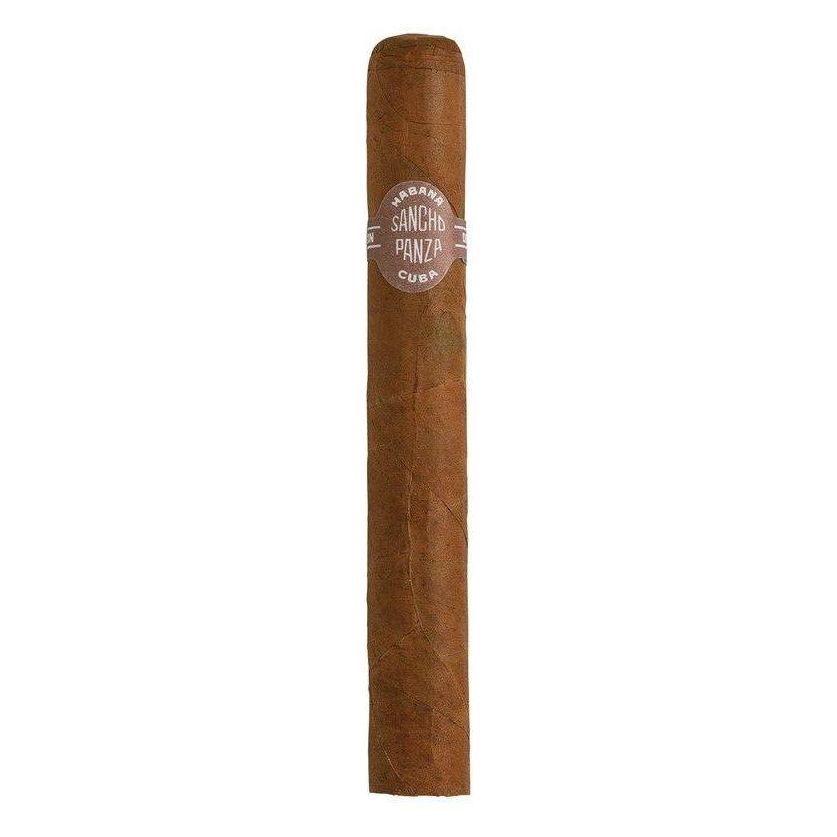 Sancho Panza Non Plus
