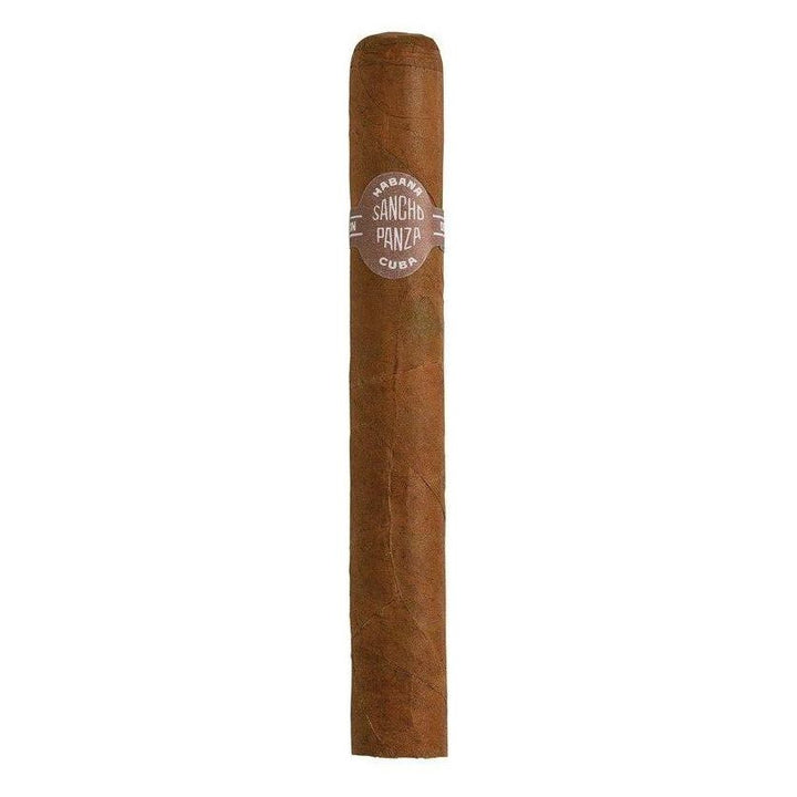Sancho Panza Non Plus