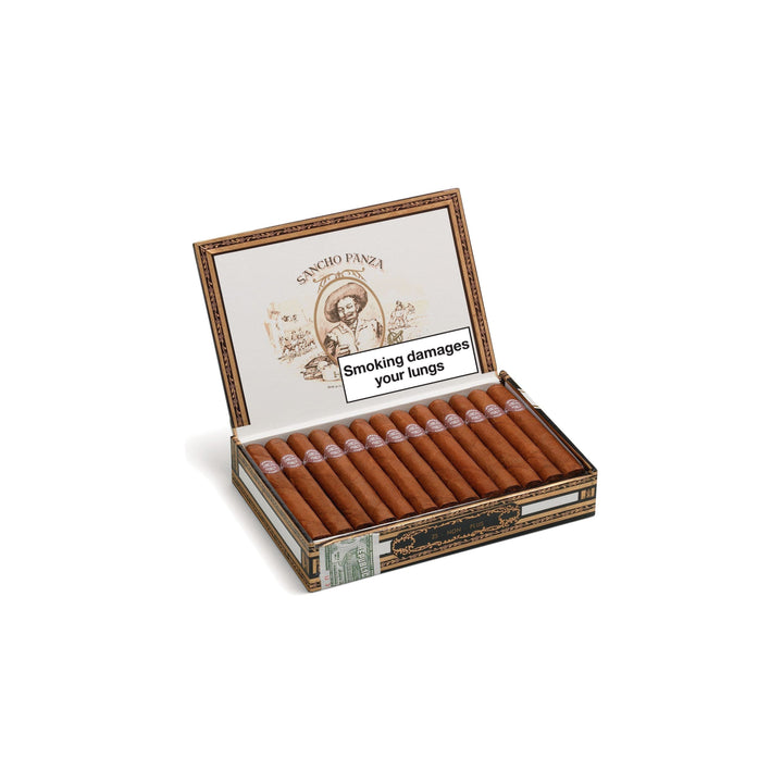 Sancho Panza Non Plus
